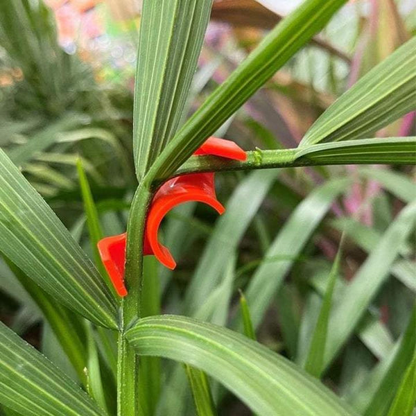 90 Degree Plant Bender for Low Stress Training