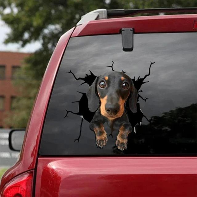 Waterproof 3D Cat and Dog Stickers